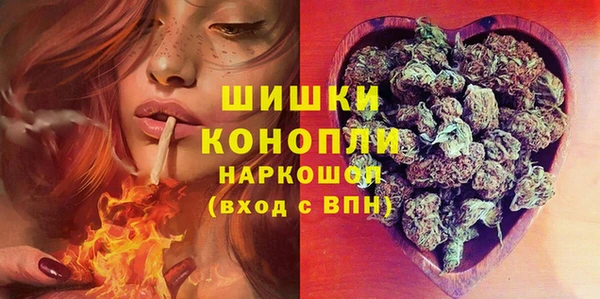 крисы Сосновка