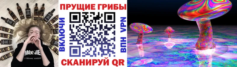 Галлюциногенные грибы прущие грибы Зеленоградск